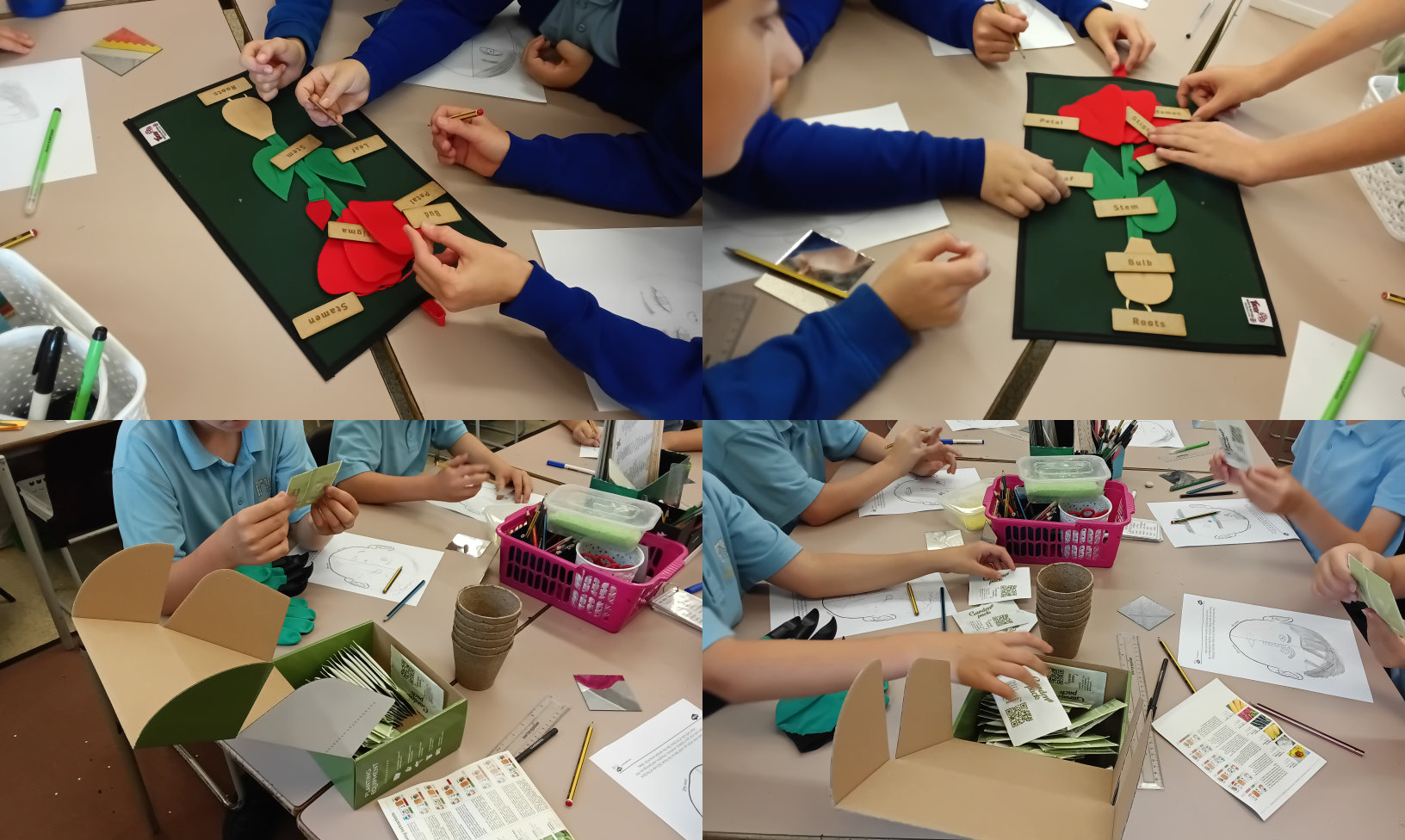 Pupils playing and creating with the fabric plant diagram and plant seeds kit