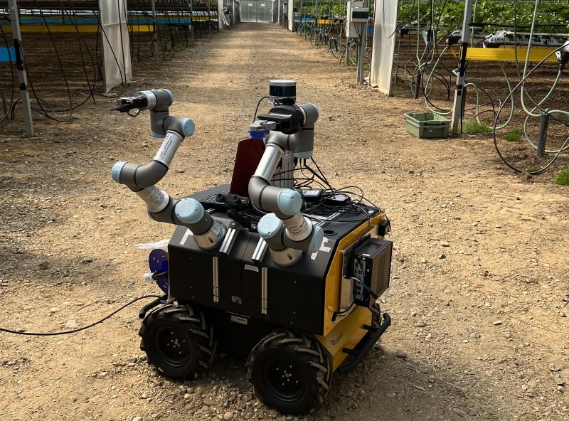 A fruit picking robot