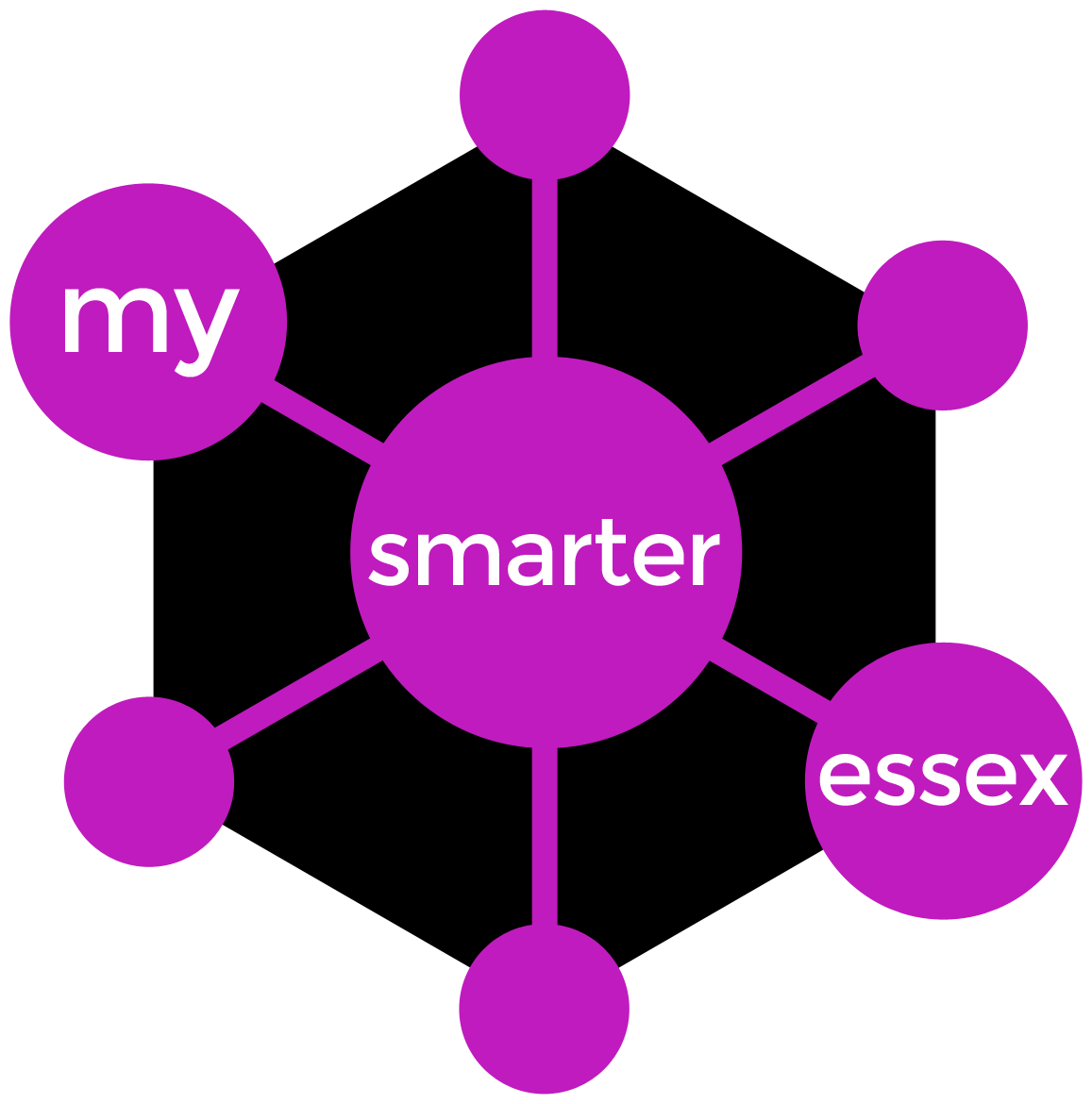 my_smarter_essex_purple_hex.png