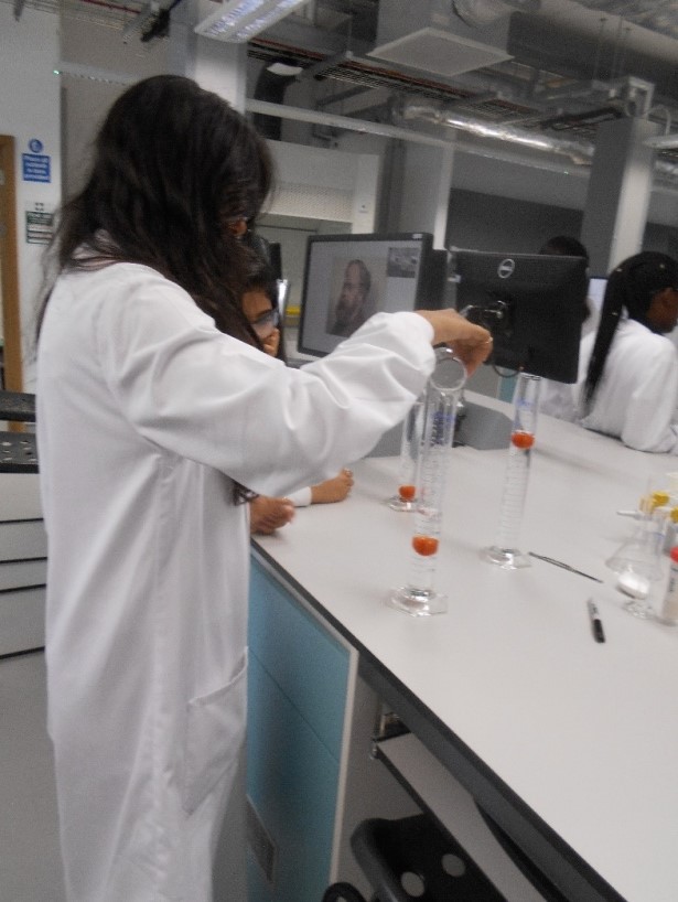 Students altering salt water concentrations to float tomato at different heights